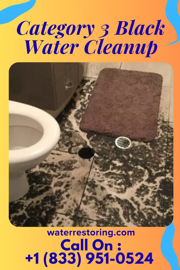 Category 3 Black Water Cleanup in Kingston Estates, NJ