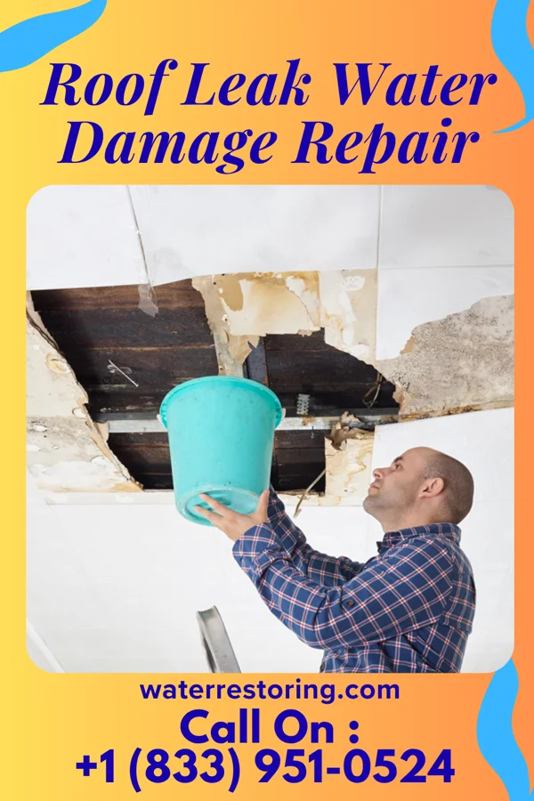 Roof Leak Water Damage Repair in Kingston Estates, NJ