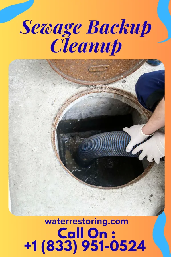 Sewage Backup Cleanup in Kingston Estates, NJ