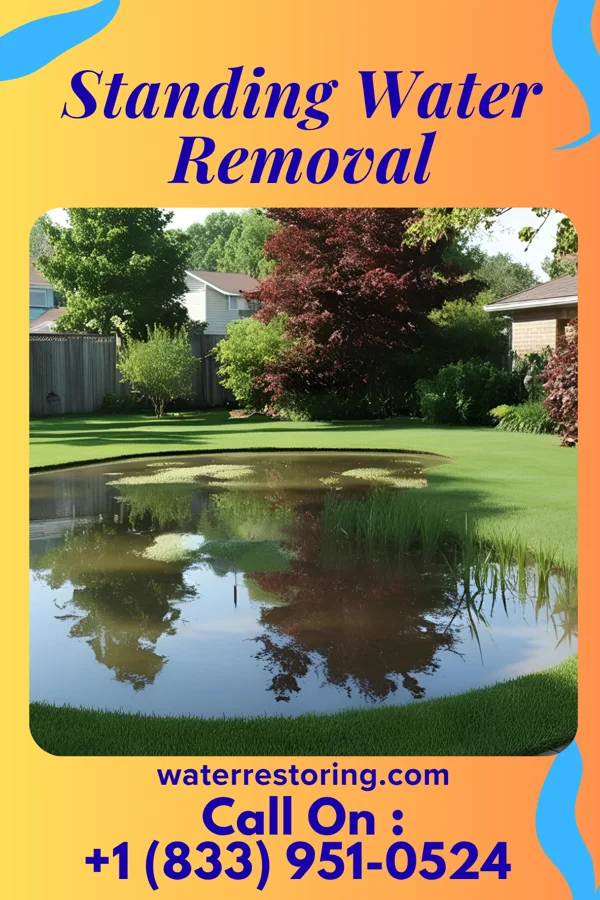 Standing Water Removal in Kingston Estates, NJ